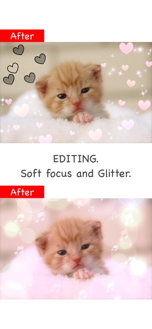 Glitter Photo Editor Lite(圖2)-速報App