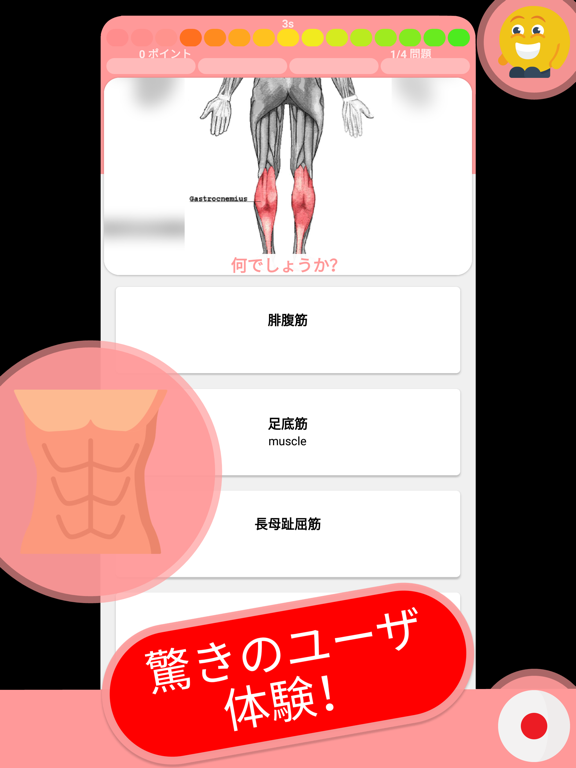 解剖学 & 骨格 クイズ 日本ののおすすめ画像9