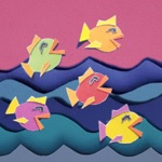 Acrobat Fish