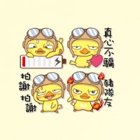 有趣的小鸡表达包 pour PC