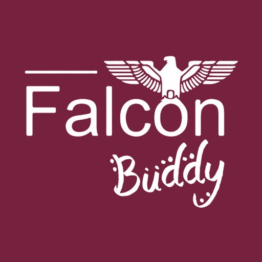 Falcon Buddy by Instance IT Solutions