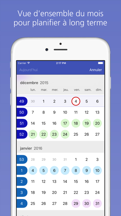 Easy Calendar iphone captures décran