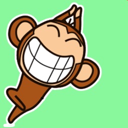 Funny Monkey Sticker