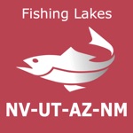 Nevada, Utah, Arizona, NM