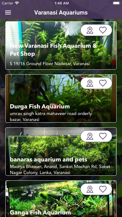 Varanasi Aquariums