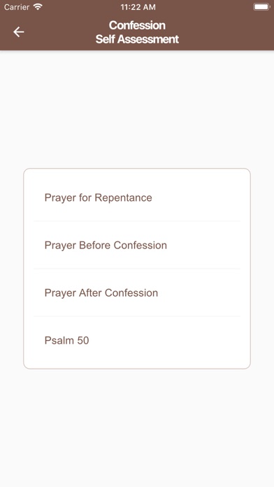 Confession Planner screenshot 2