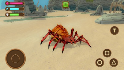 Wild Spider - Insect Simulator screenshot 3