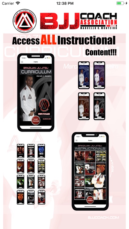BJJ Coach CURRICULUM Jiu Jitsu