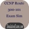 CCNP® Route 300-101 exam simulator provides practice questions from latest syllabus of CCNP® certification exam 300-101 offered by Cisco®