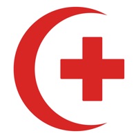 掌上红会 pour PC