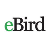 eBird by Cornell Lab of Ornithology icon