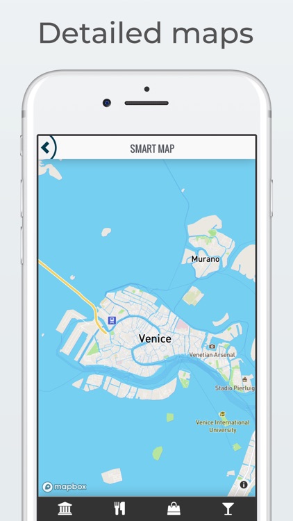 VENICE City Guide and Tours screenshot-4