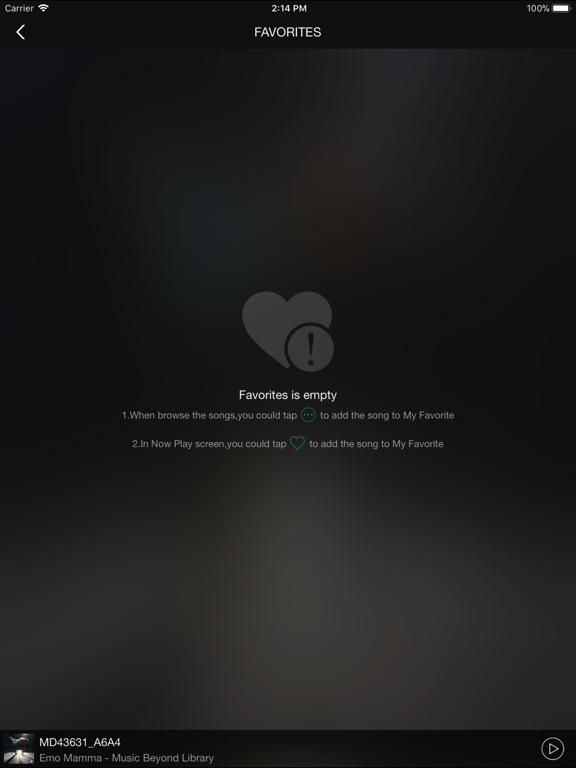 Screenshot #5 pour Amn Player