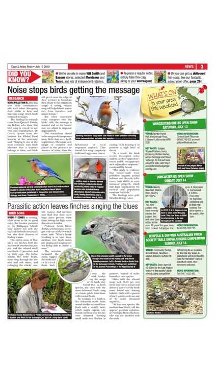 Cage & Aviary Birds