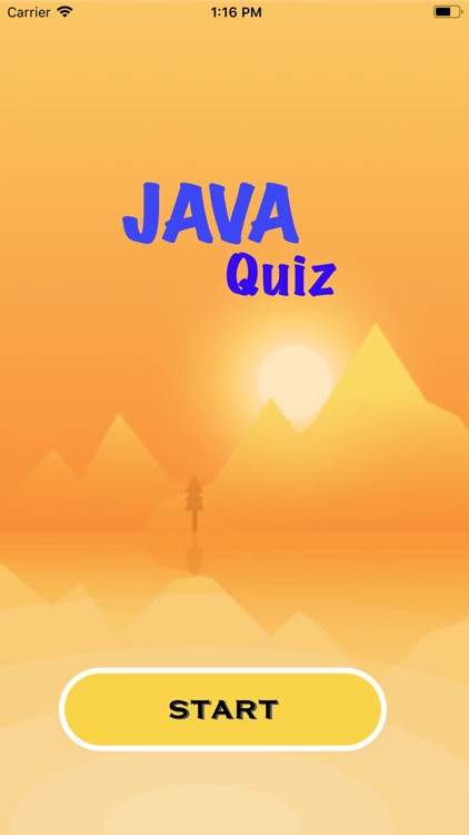 Sun Java Quiz