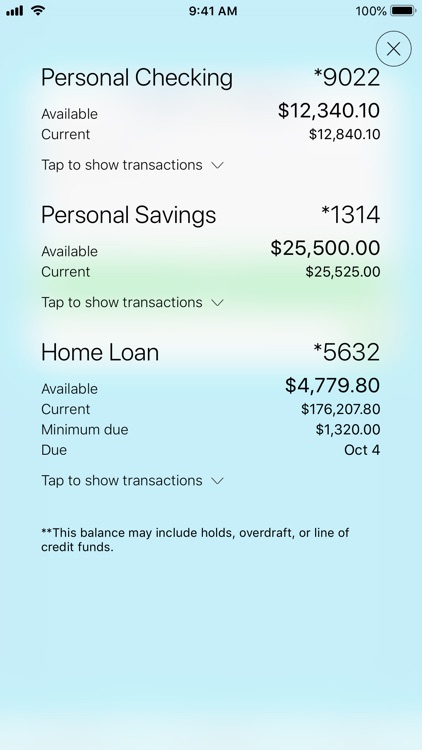MoneyView by Park View FCU