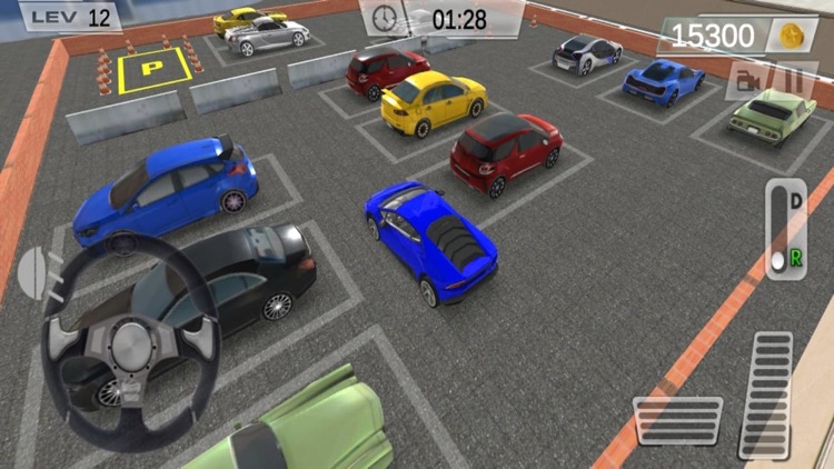 Real car parking adventure sim