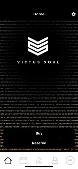 Game screenshot Victus Soul mod apk