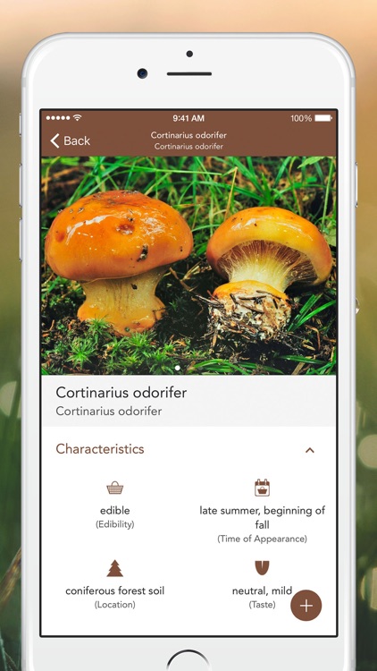 Mushrooms PRO - Hunting Safe