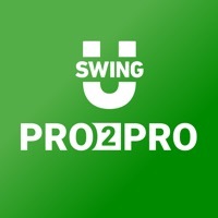 Pro2Pro logo