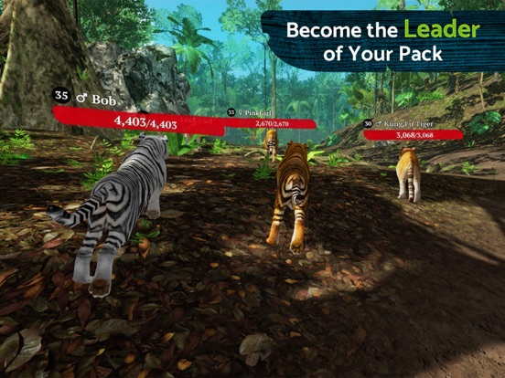 Скачать игру The Tiger Online RPG Simulator