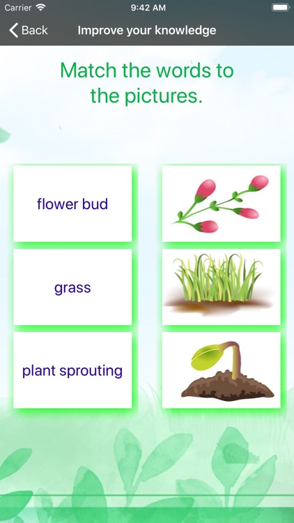 Spring vocabulary words