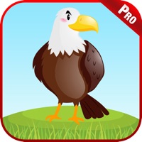 Chant Oiseaux Son Enfants Jeux sur PC