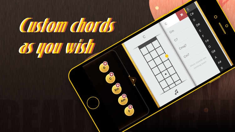 Ukulele-Real ukulele screenshot-5