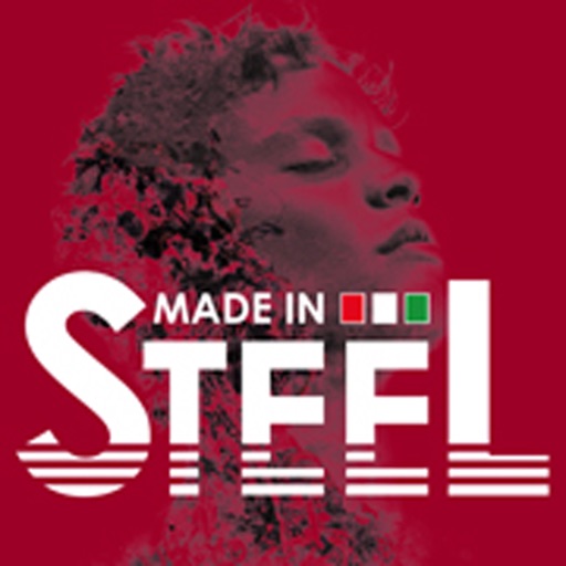 Made in Steel 2019