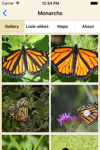 Monarch SOS - náhled