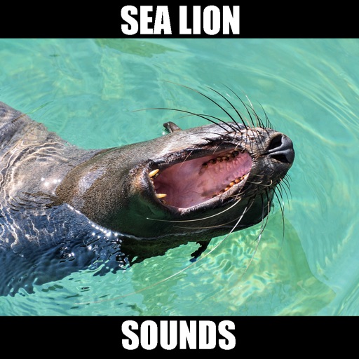Lion roar by yayiyi94 Sound Effect - Meme Button for Soundboard - Tuna