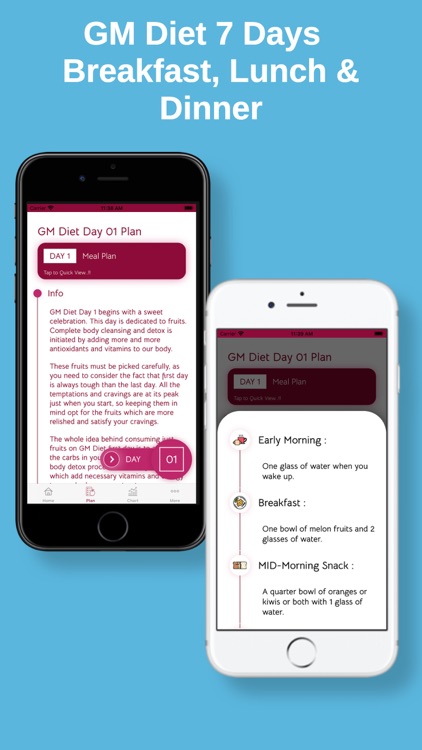 GM Diet : 7 Days Meal Planner screenshot-3
