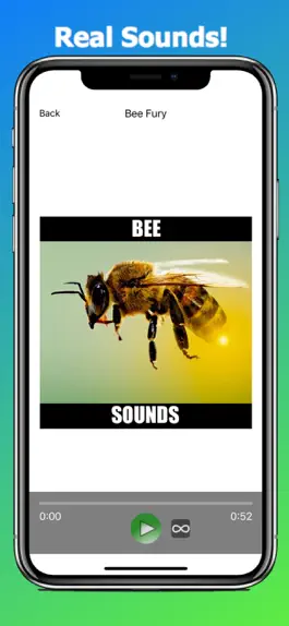 Game screenshot Annoying Bee Sounds! hack