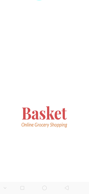 Basket Grocery shopping