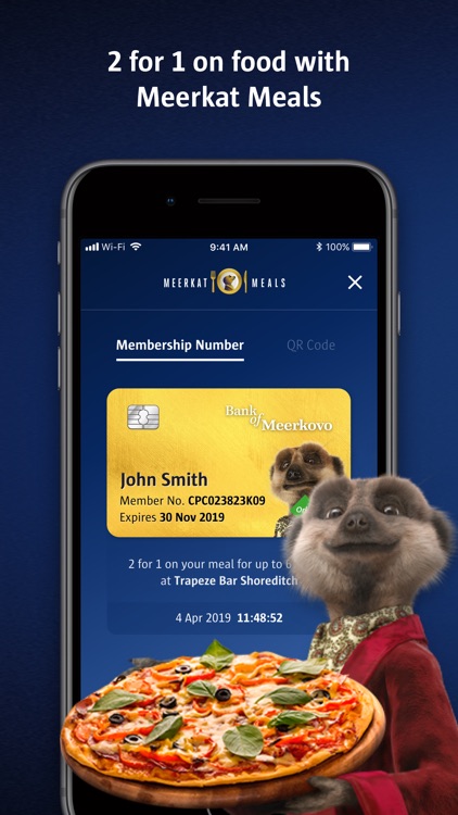 Meerkat