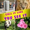 “Call It Like You See It” is a fun puzzle game that uses pictures to create words, names, or phrases