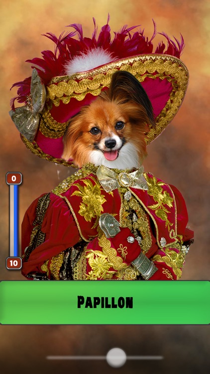 Nobility Dogs screenshot-6