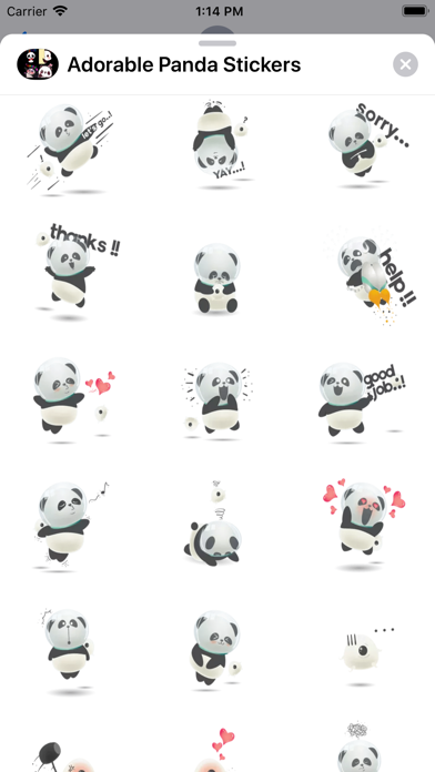 Adorable Panda Stickers screenshot 4