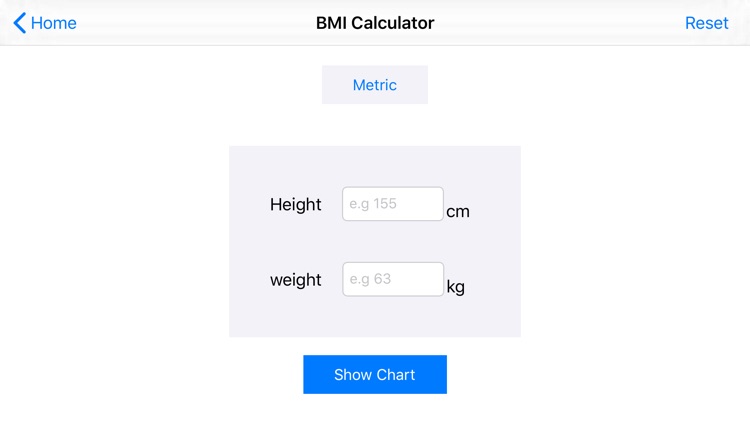 My Body Measurement