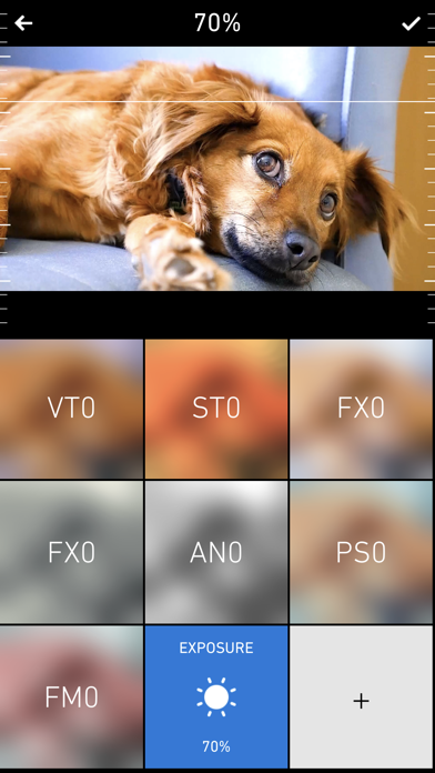 Chromic - professional video filters Screenshot 2