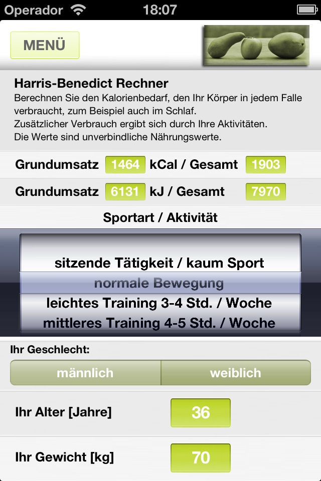 Fit-Rechner screenshot 2