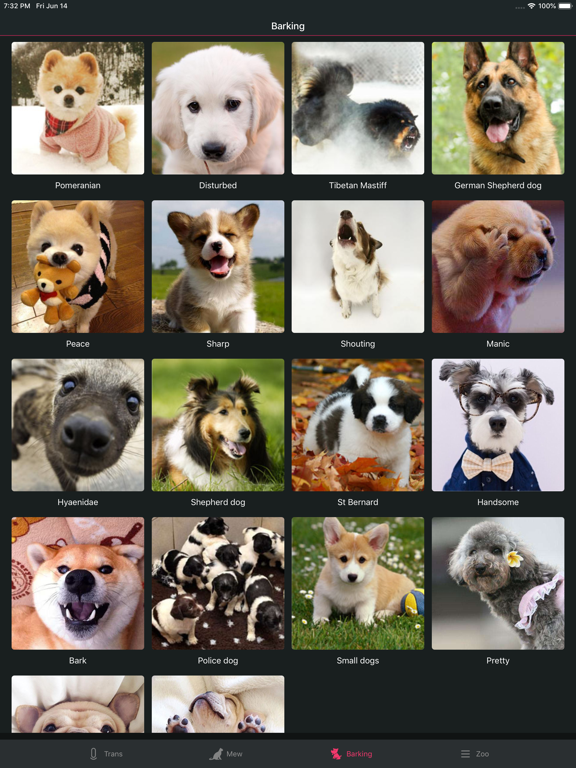 Pet translator - Cat&Dog screenshot 3