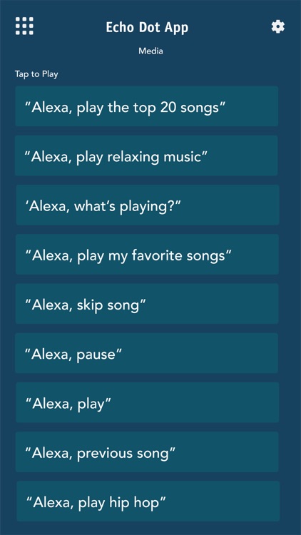 Echo Dot App for iPad