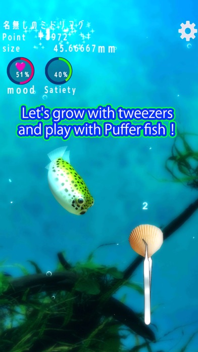 Playing with Puffer fish screenshot 2