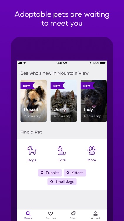 Petfinder Adoptable Pets