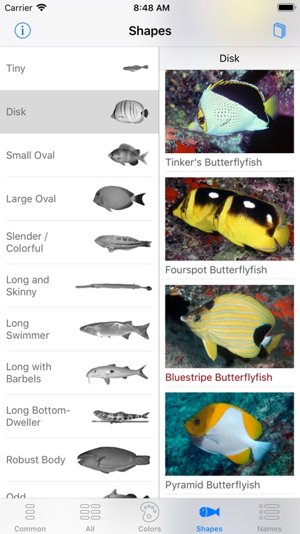 Scuba Fish Hawaii screenshot-3