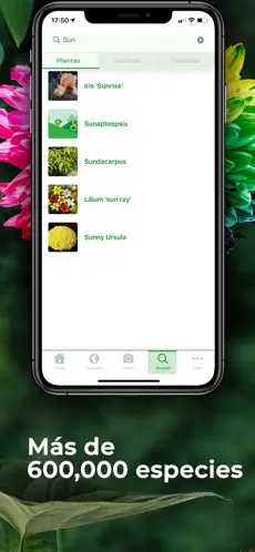 Captura 4 PlantSnap: identifica plantas iphone