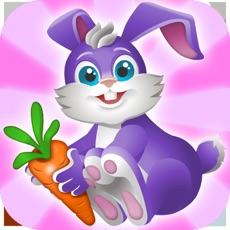 Activities of Funny Bunny Adventures