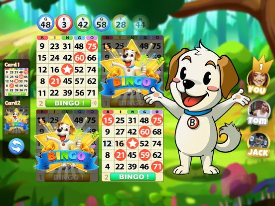 Bingo Journey！Bingo Party Game на iPad