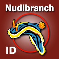 Nudibranch ID Indian Ocean pour PC